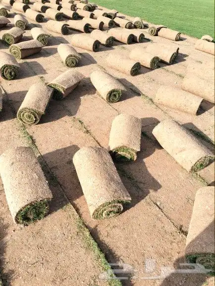 جميع انواع الثيل 4