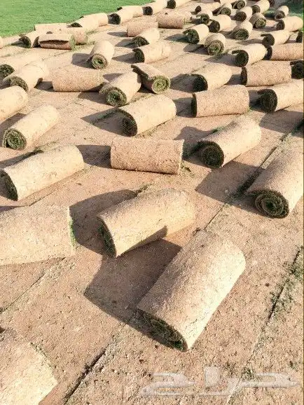 جميع انواع الثيل 1