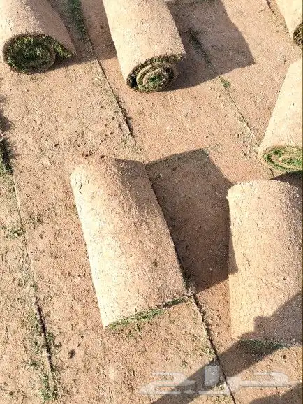جميع انواع الثيل 2