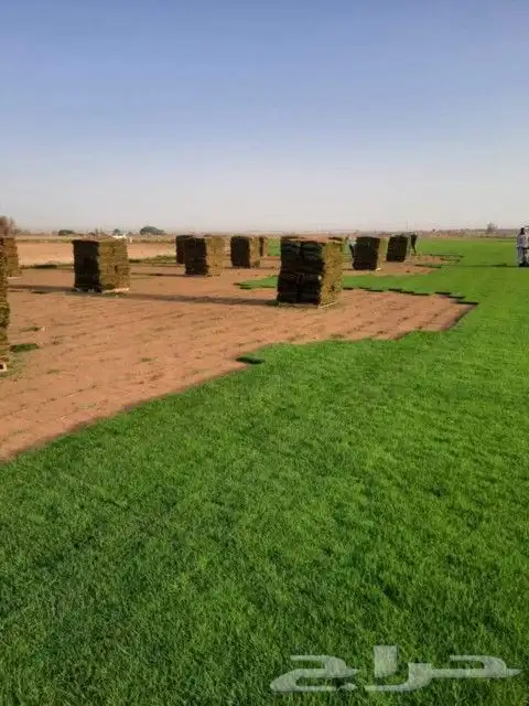 حجر عشوائي وثيل طبيعي 7