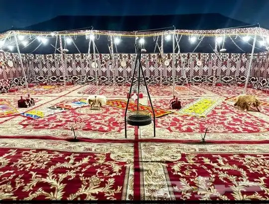 تاجير كرسي وكنب كوش 4