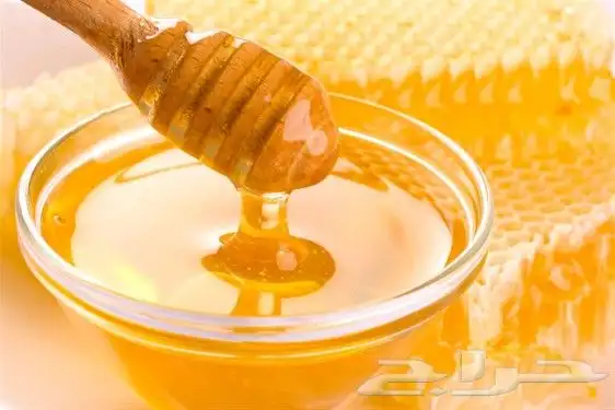 عسل سدر دوعني حضرمي 11