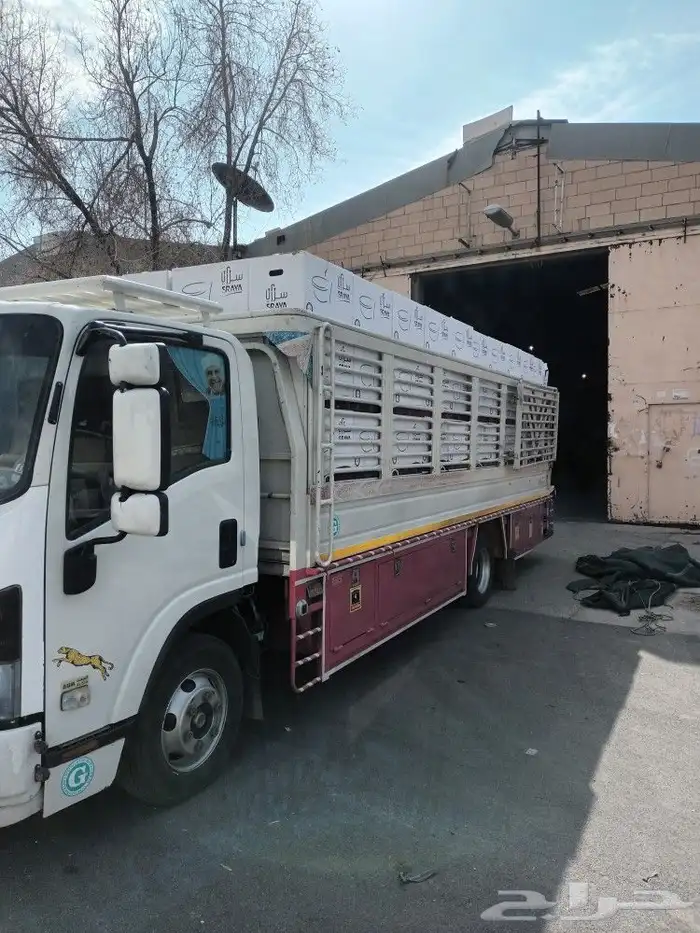 دينا مشاوير داخل وخارج الرياض 1