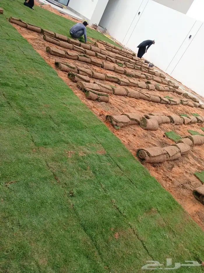 حجر عشوائي وثيل طبيعي 3