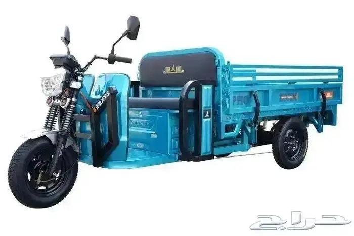 عربات كهربائية لكبار السن والتأجير والترفية والتنقل 2