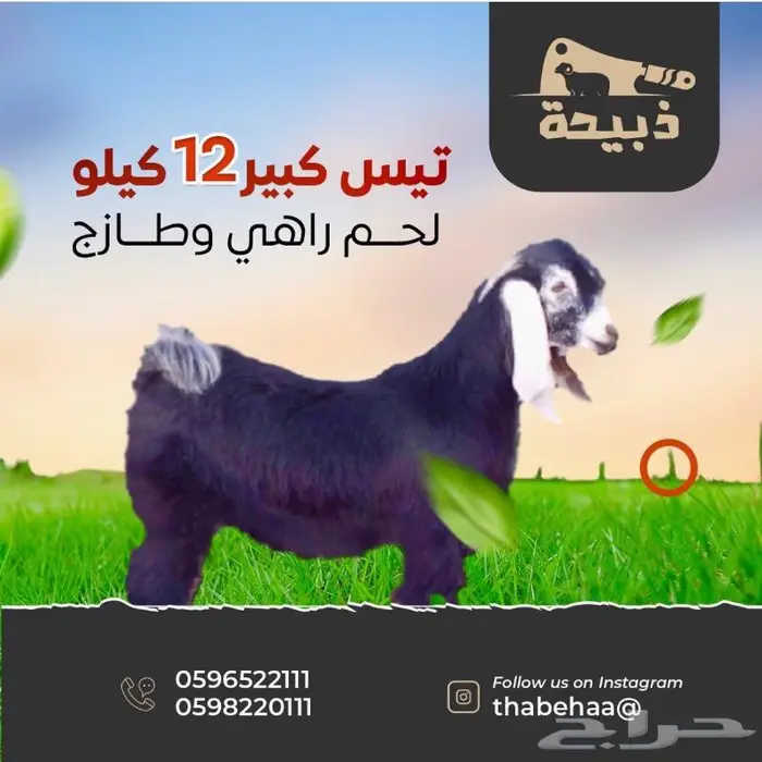 متجر ذبيحة 69