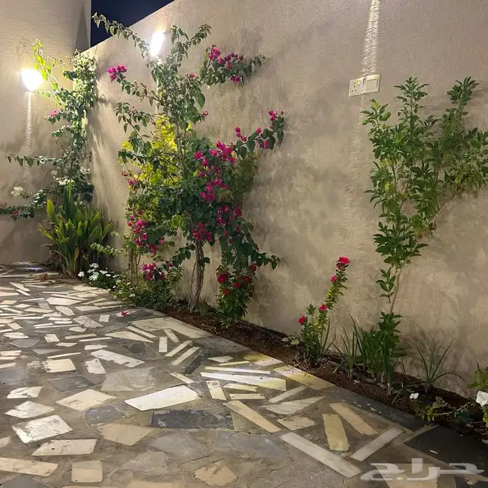 استراحة غرب بريدة للايجار 36