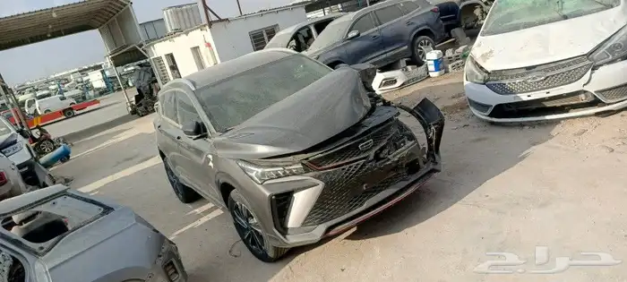 جيلي كولراي 2024 قطع غيار 0