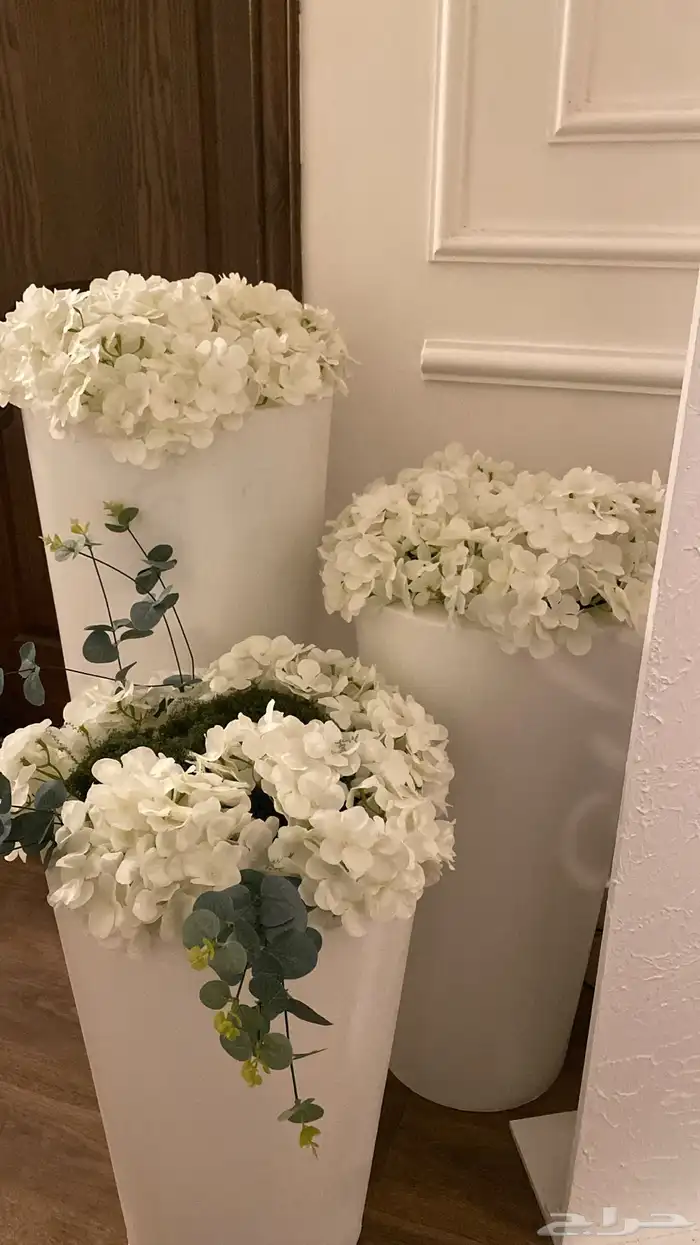 استقبال مواليد 2