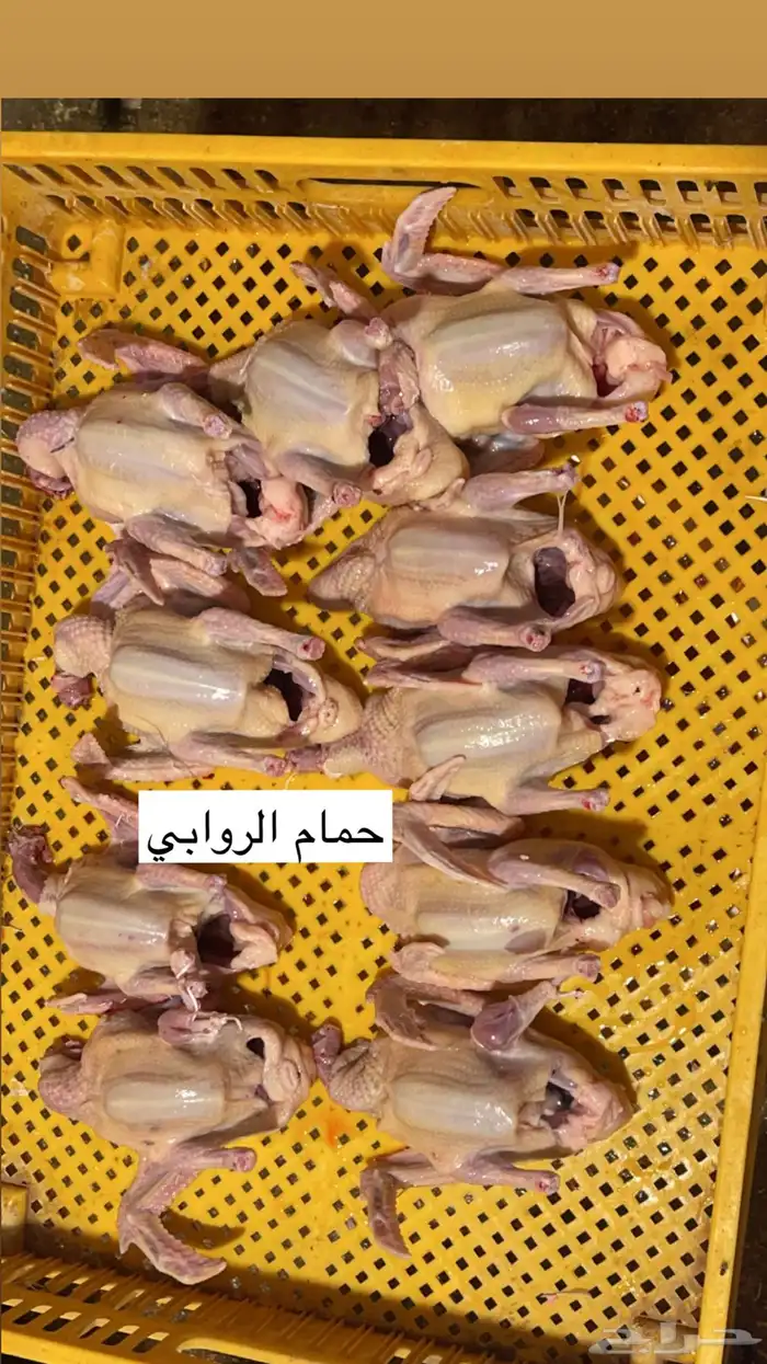 حمام فرنسي 1