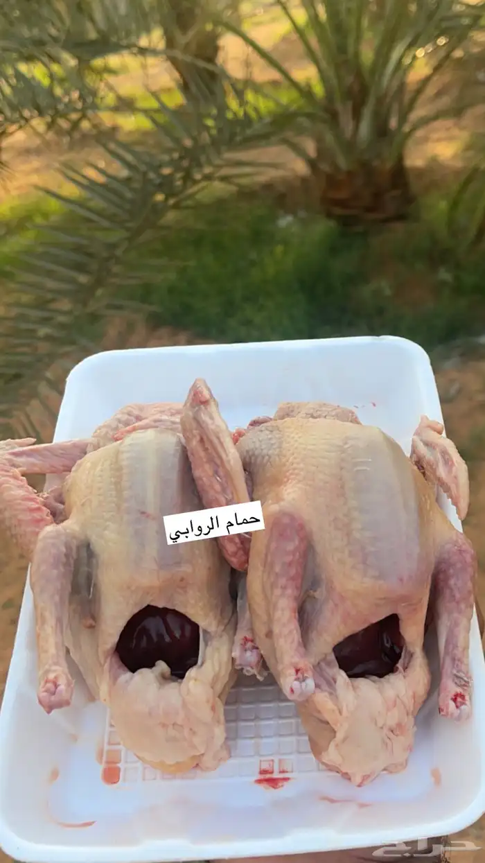 حمام سوبر جامبو 0