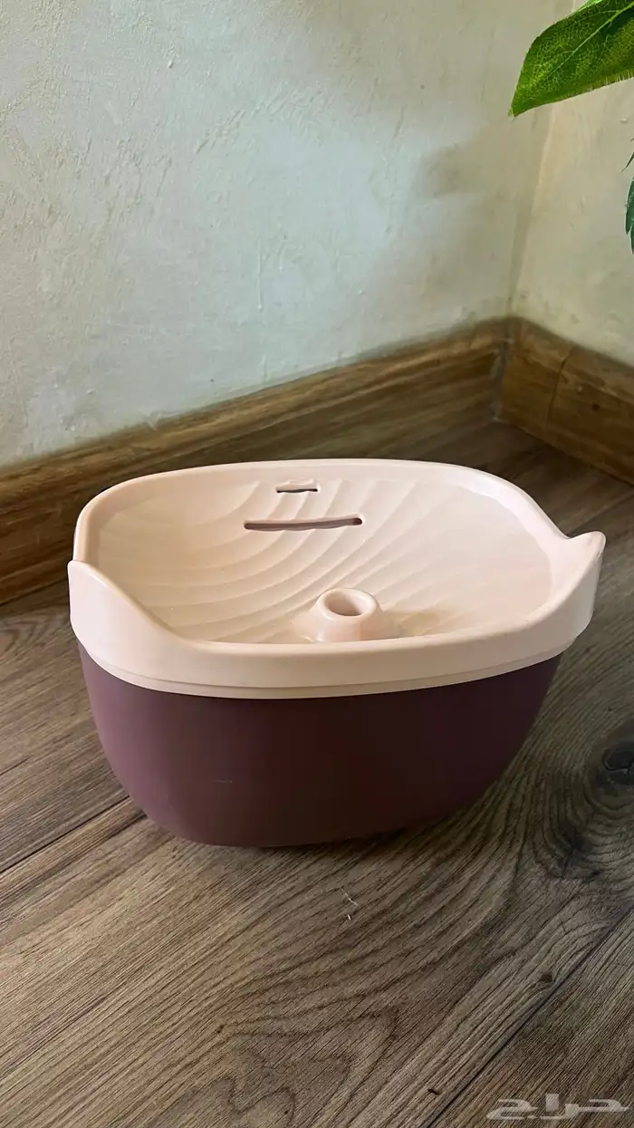 نافورة قطط 2