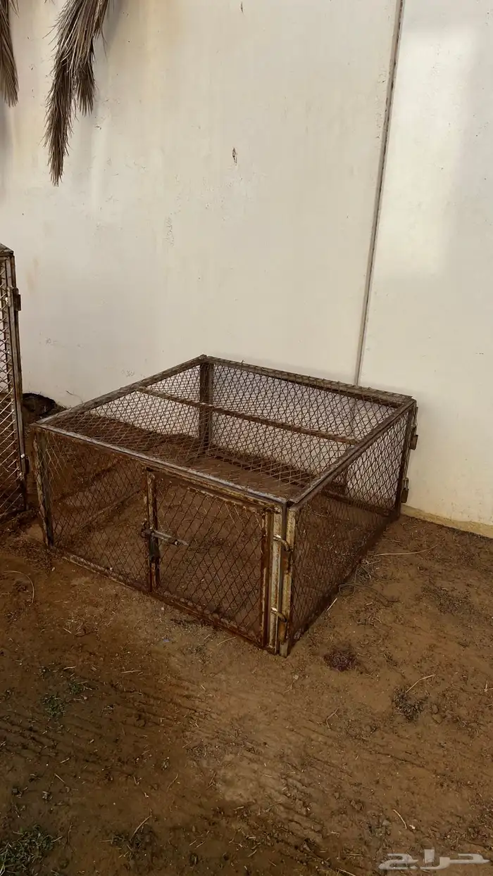 شبك 2