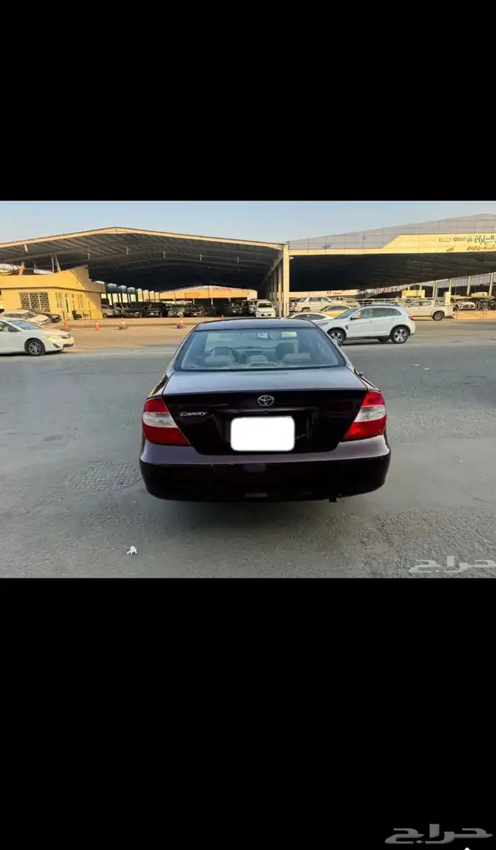 تم البيع 5