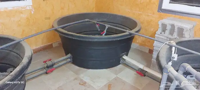 عسير . البرك 3
