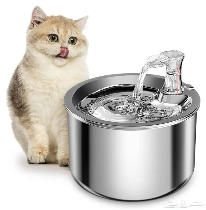 نافورة قطط 3