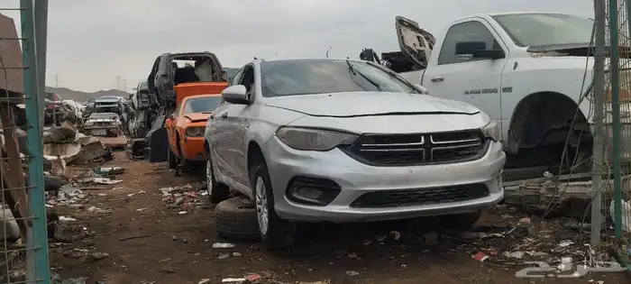 تشليح نيون 2019 0