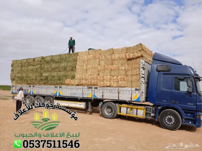 ذره ناعمه مع برسيم   الدفع عند الوصول 0