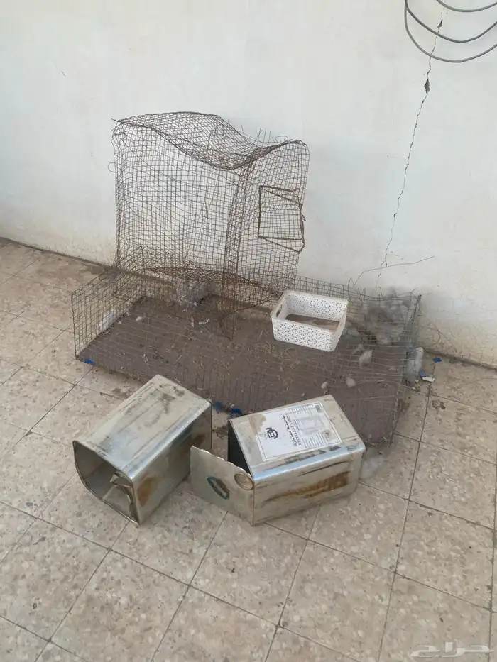 أقفاص طيور 0