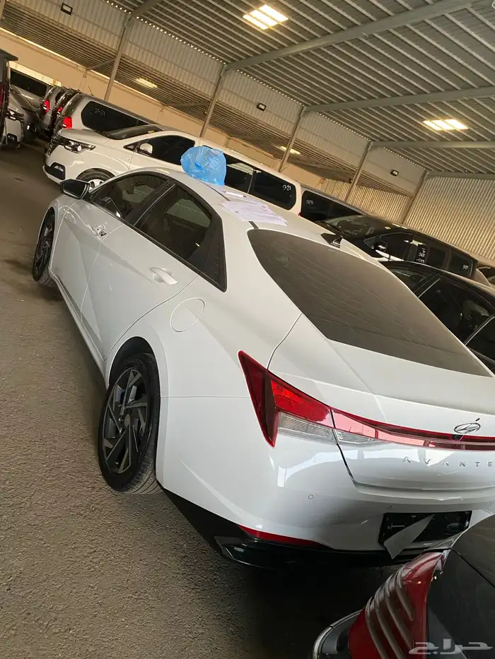 النترا 2023 2