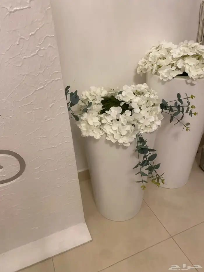 استقبال مواليد 0
