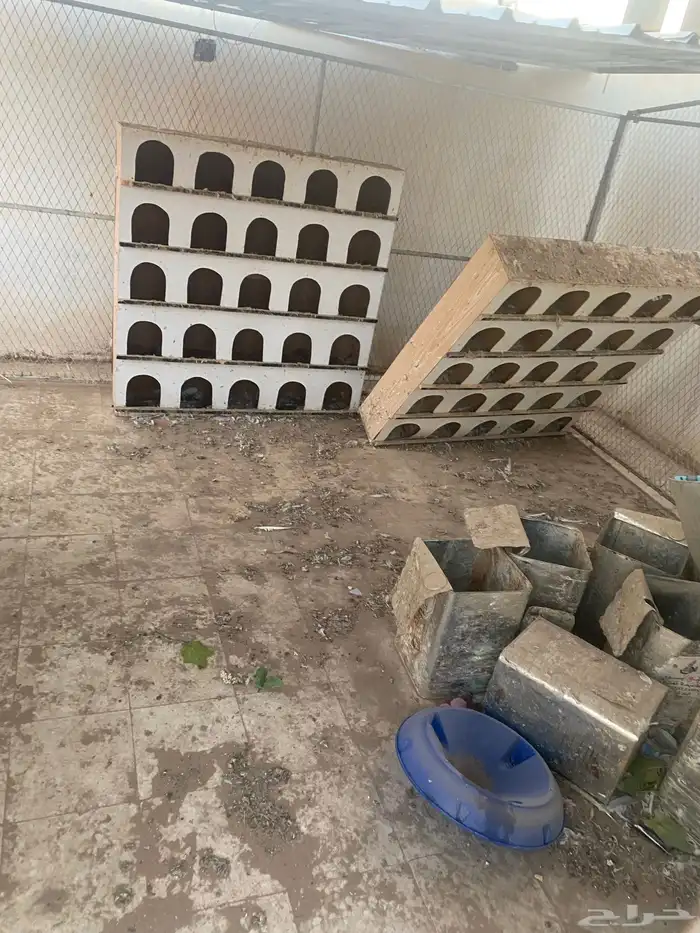 أقفاص طيور 9