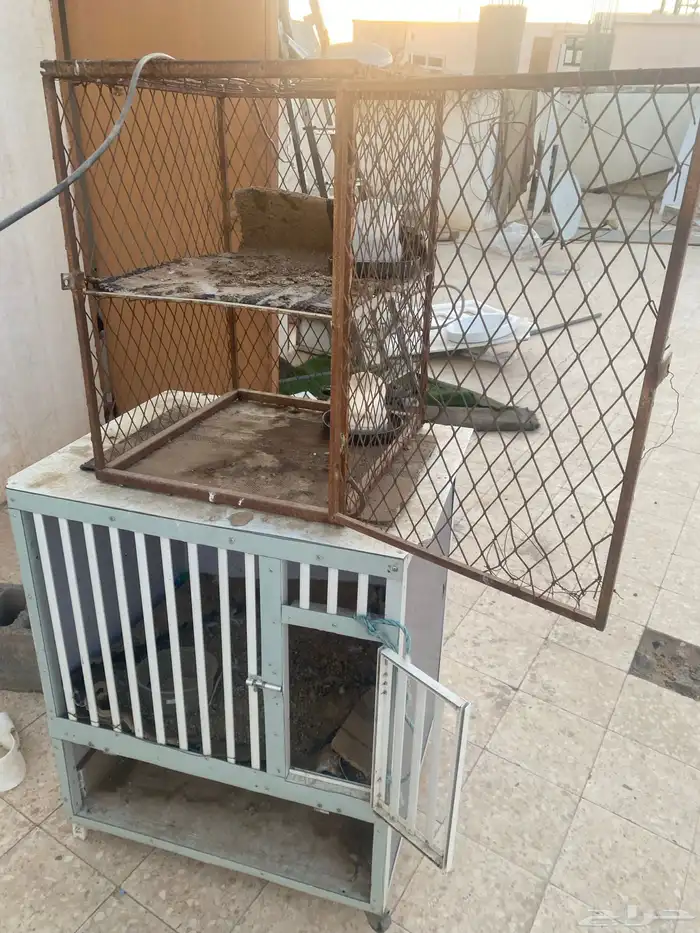 أقفاص طيور 1
