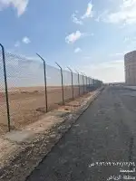 السلام عليكم ورحمة الله يوجد لدينا نخل 1