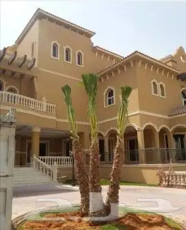 شبك ونخل 7