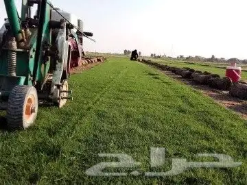 ثيل طبيعي درجه اولى شرط 9