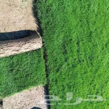 ثيل طبيعي درجه اولى شرط 7