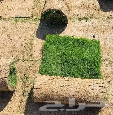 ثيل طبيعي درجه اولى شرط 2