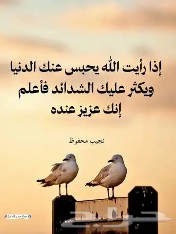 مدرس خصوصي تتدريس صفوف أولية ومتوسطة رياضيات ولغتي وقرآم وعل 0