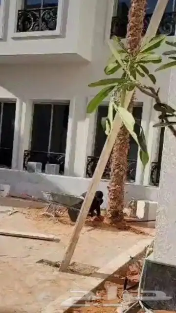 تركيب جميع انواع الشبوك وزراعة الأشجار 7