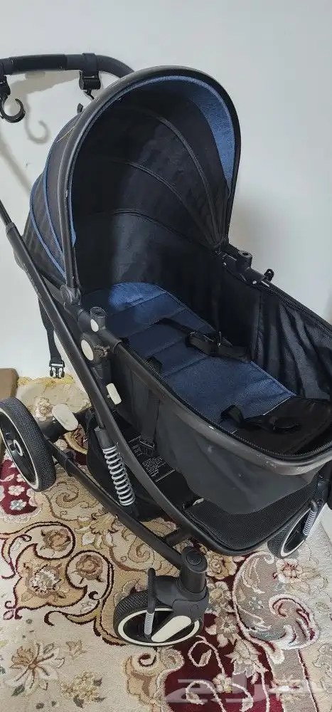 عود سالمين مجلس أرضي 4