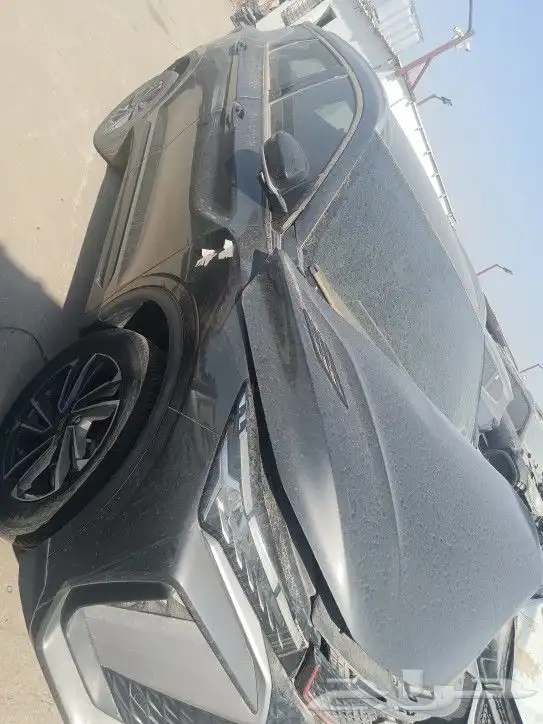 جيلي كولراي2024 1
