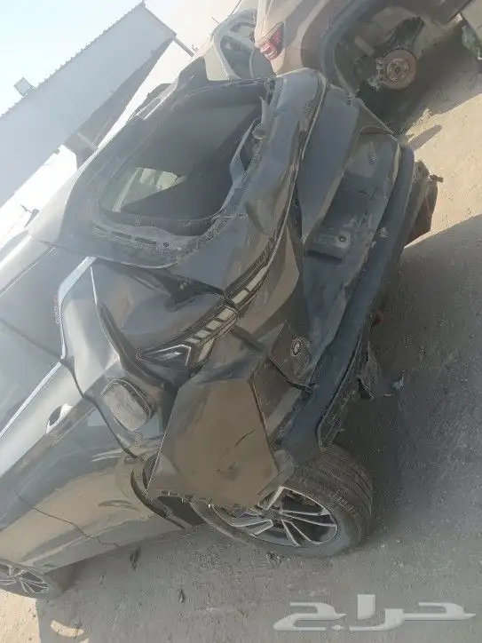جيلي كولراي2024 3