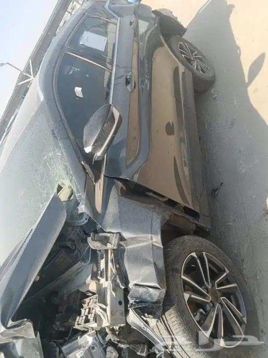 جيلي كولراي2024 0