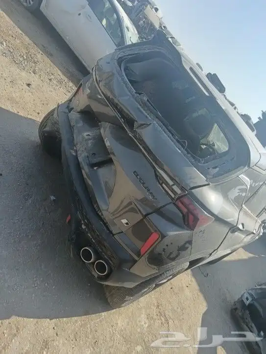 جيلي كولراي2024 4