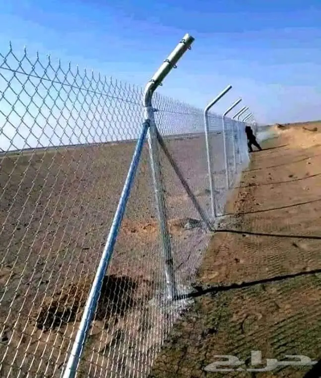 نخيل للبيع وتركيب الشبوك بانواعها والثيل الطبيعي 5