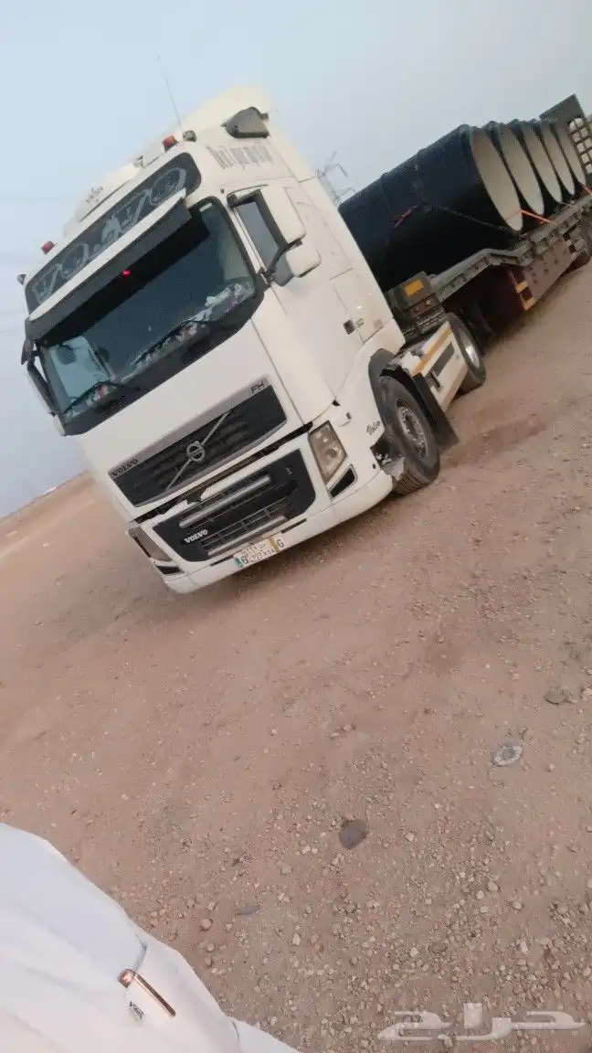 الوابد متواجد في ضبا شرما 0