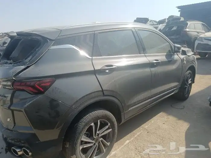 جيلي كولراي2024 5