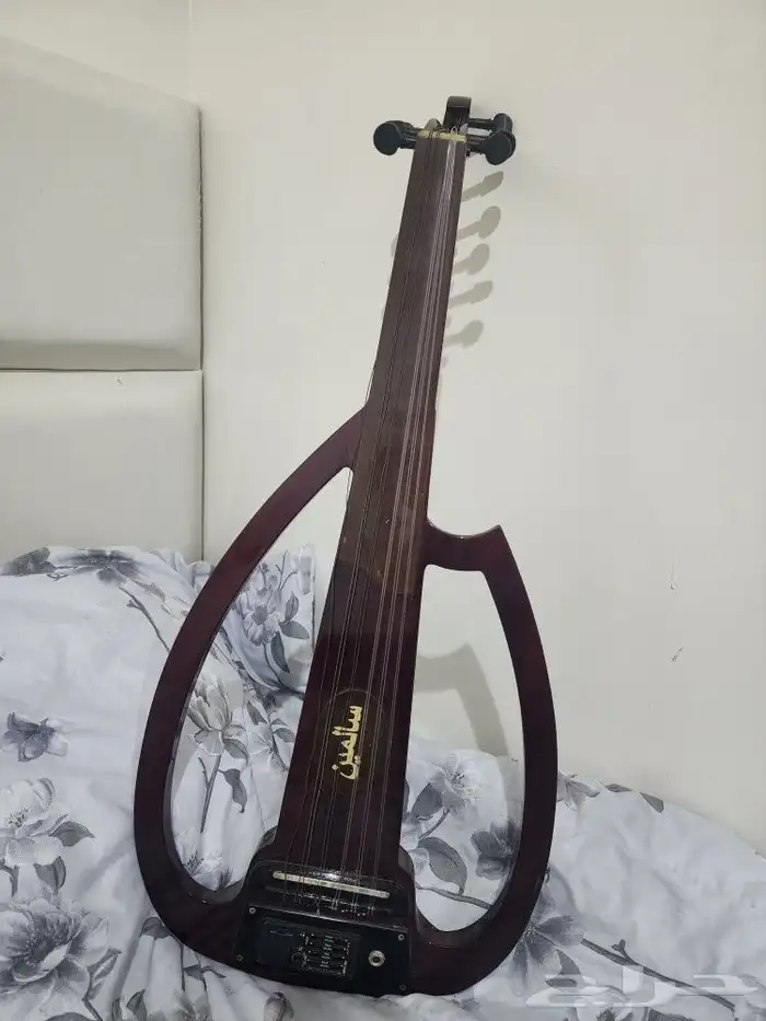 عود سالمين مجلس أرضي 3