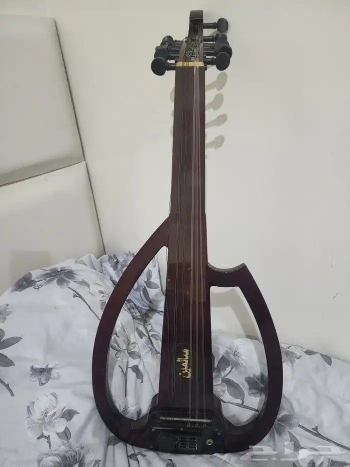 عود سالمين مجلس أرضي 2