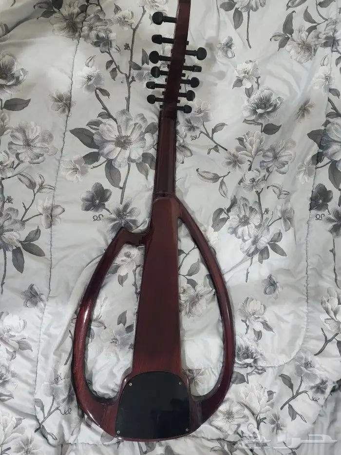 عود سالمين مجلس أرضي 0