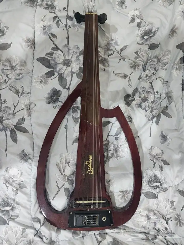 عود سالمين مجلس أرضي 1