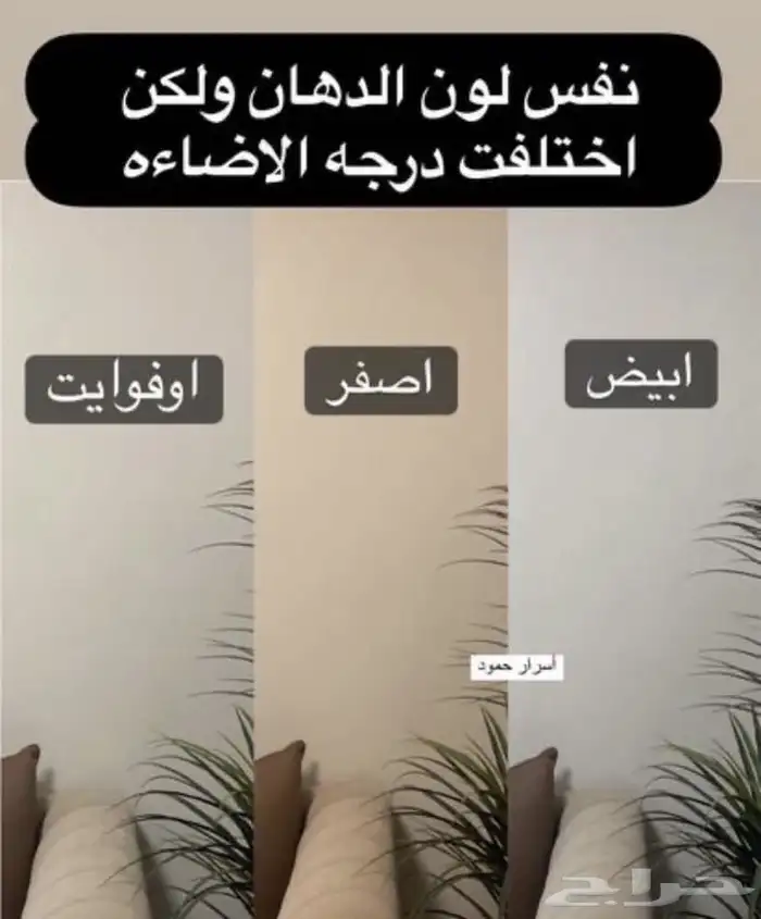 كتلوج دهانات  دهانات_جوتن  دهان_الخبر  دهان 4