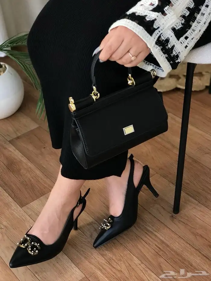 شنط دولتشي اند غابانا نسائيه شامل التوصيل ودفع عند الاستلام 41