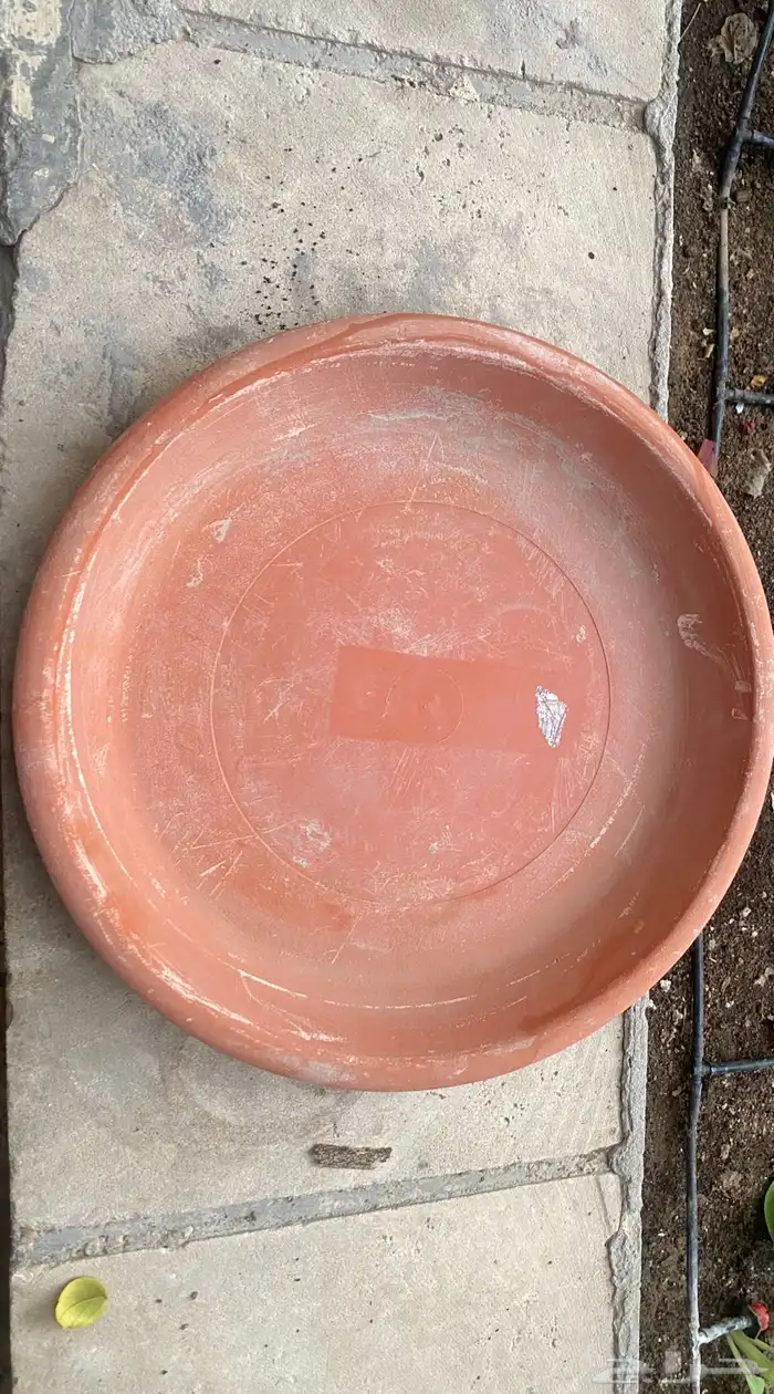 احواض 5