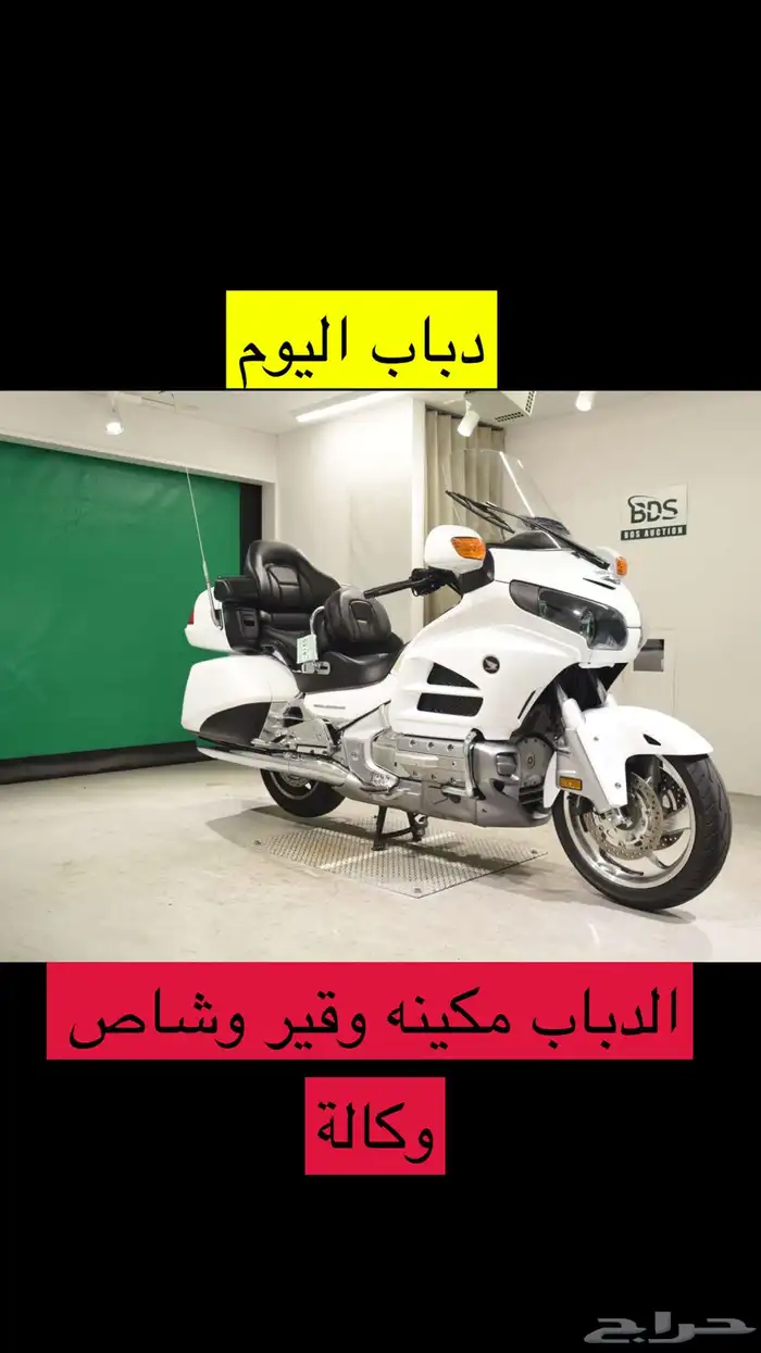 هوندا قولد وينق إصدار خاص - حالة وكالة 31